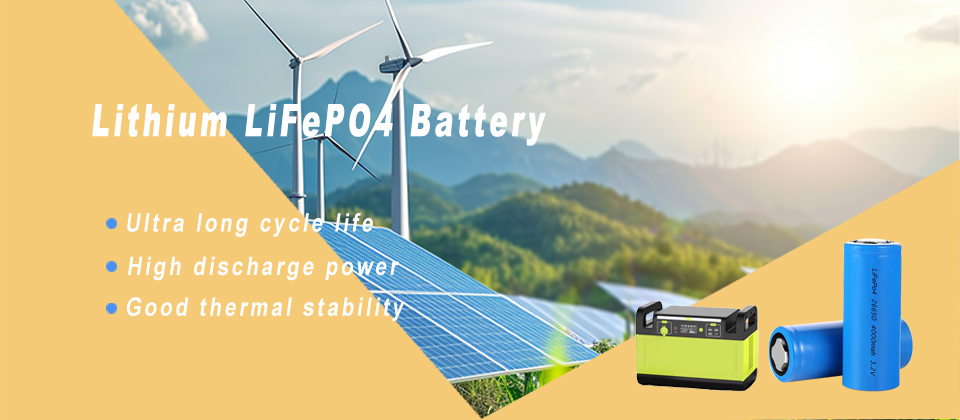 Lithium Ion Rechargeable Batteries