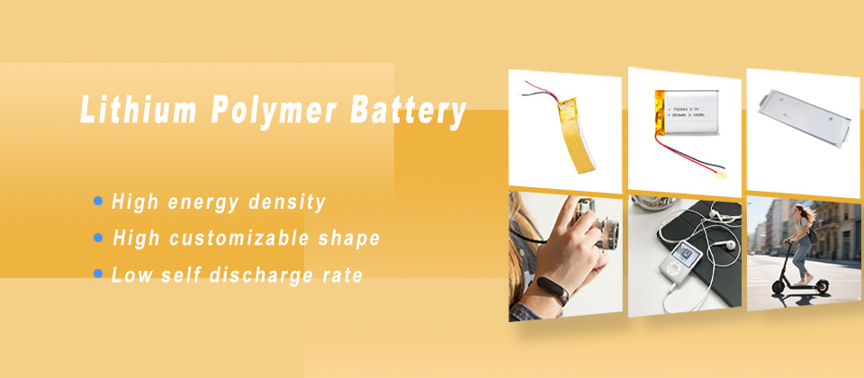Lithium Polymer Battery